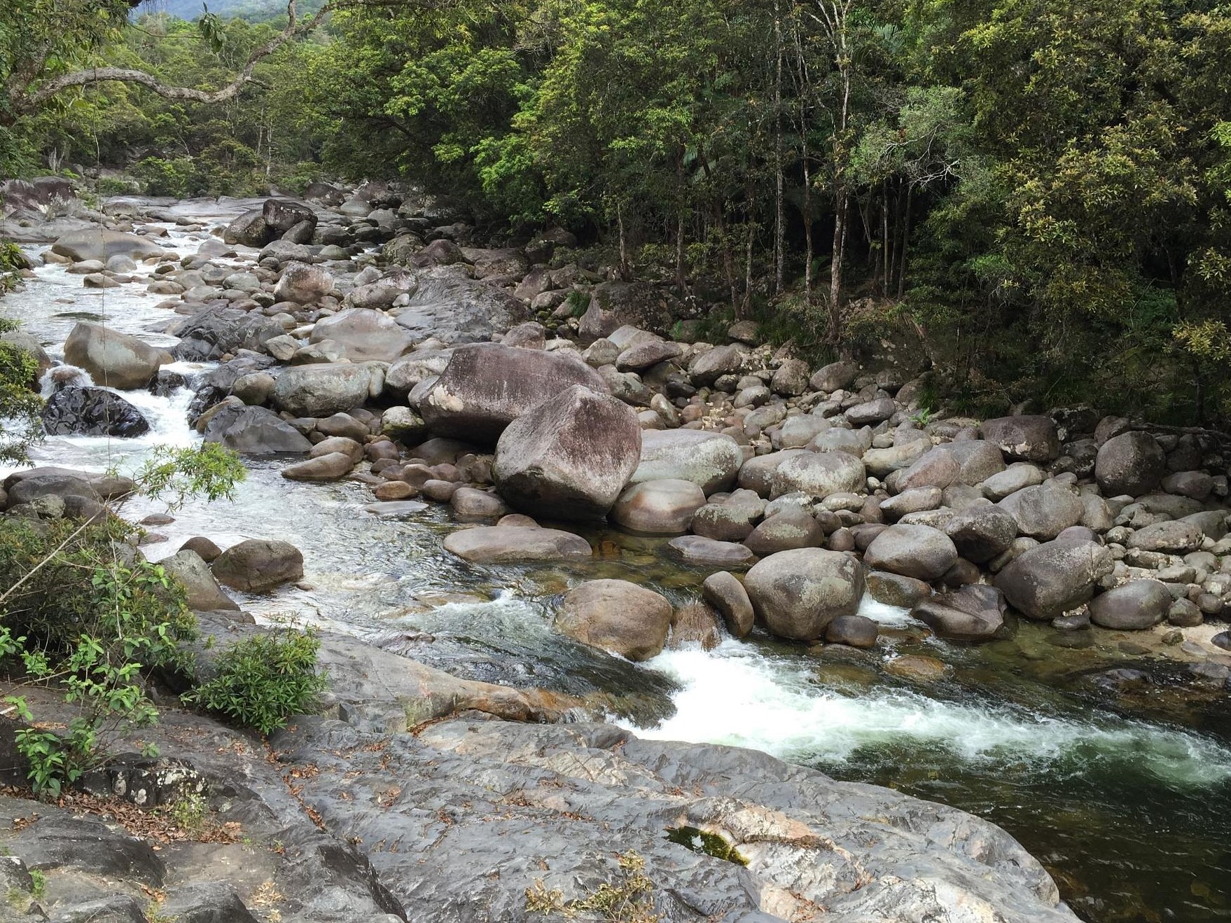 Mossman Gorge, Daintree
